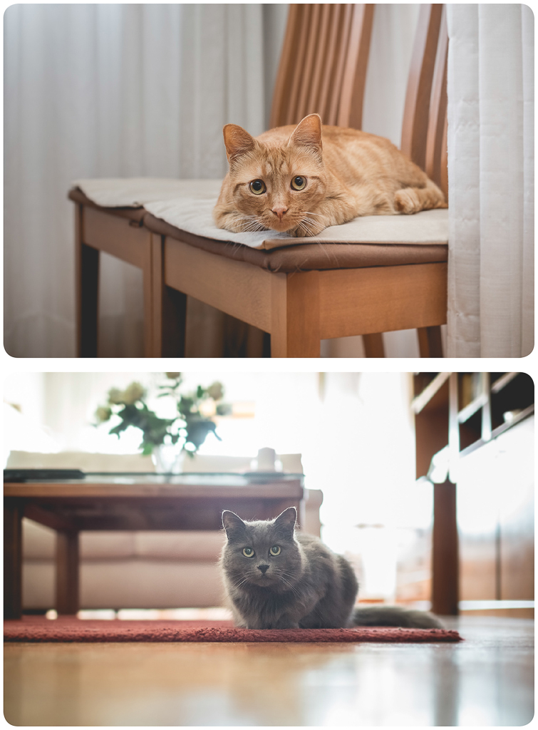 fotografo-matrimonio-24